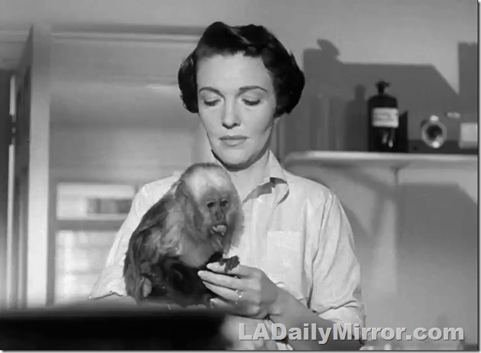 Mystery woman and mysterious lab monkey Mystery woman and mysterious lab monkey
