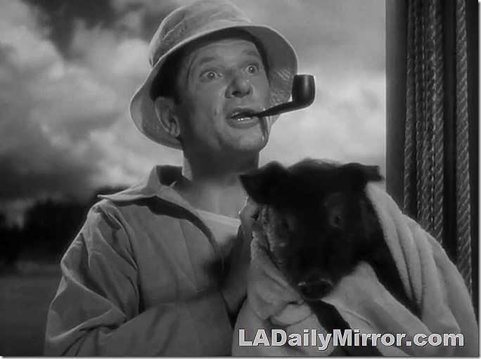 Man smoking pipe, with pig. 