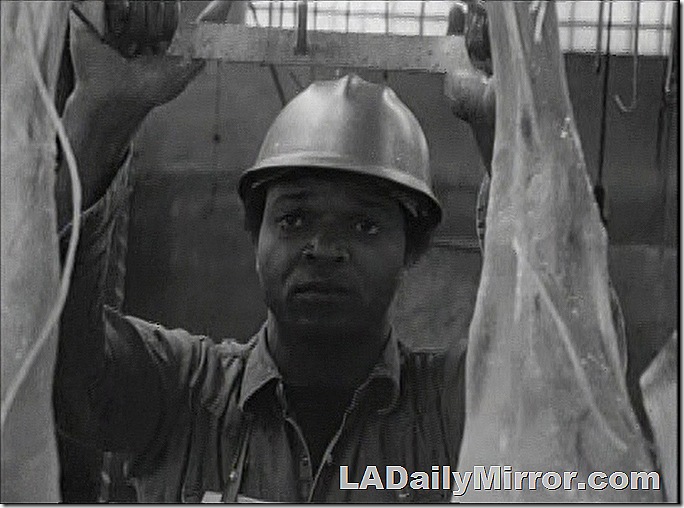 Man in hard hat looking at camera. His face is framed by hanging meat. 