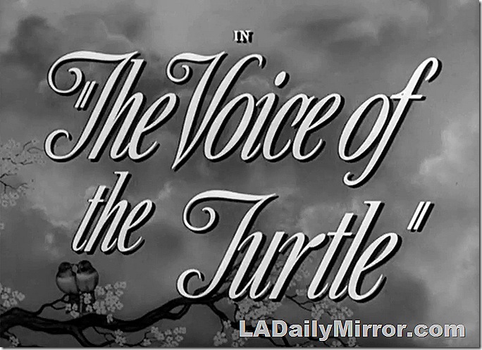 Main title: Script over love birds on a tree branch with clouds in the background