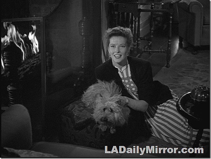 Woman lying on rug next to fireplace with small dog. Woman lying on rug next to fireplace with small dog.