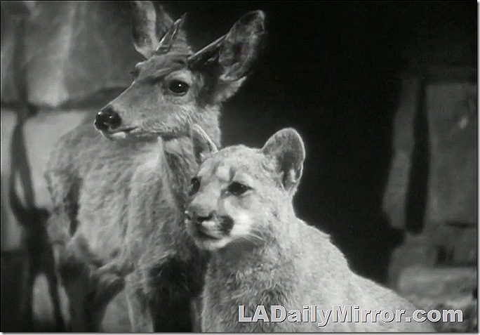 A couple of mysterious critters coming your way. 