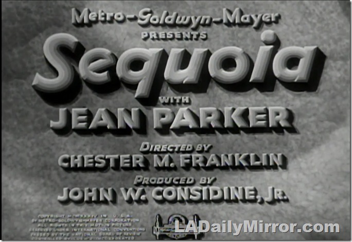 2025_0816_Main_Title