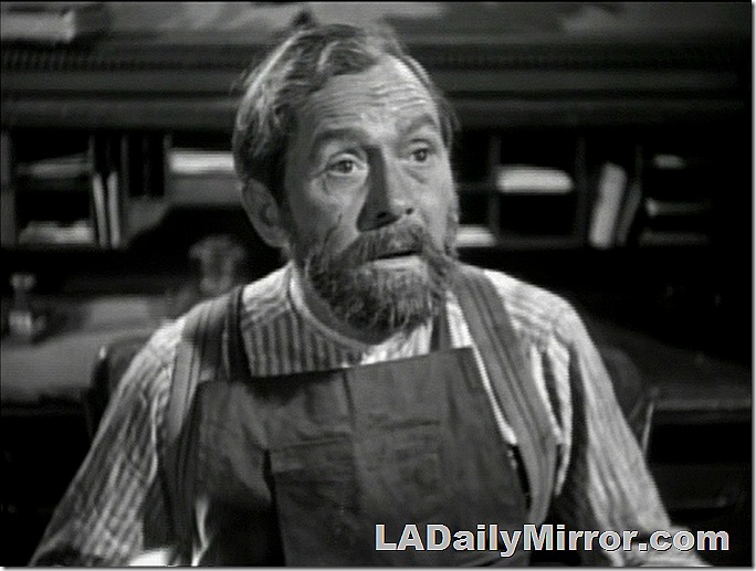 Bearded man in apron. 