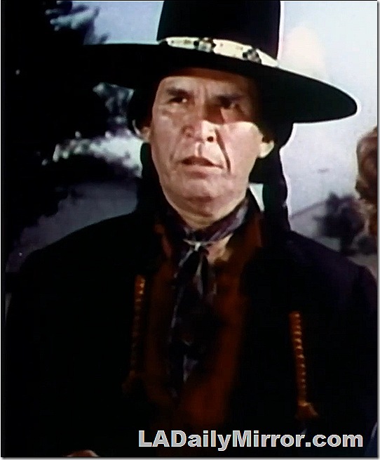 Man with long braids and a flat-brimmed hat with a beadwork band. 