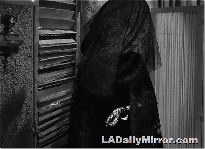Mystery figure shrouded in hat a veil. 