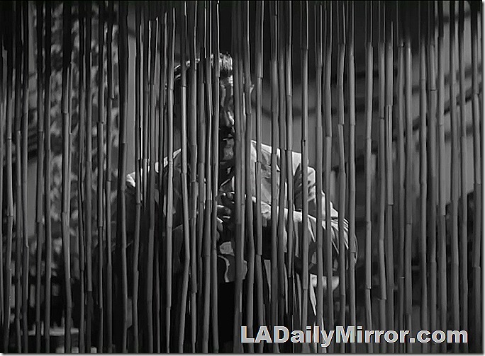 Man standing behind bamboo curtain. Man standing behind bamboo curtain.