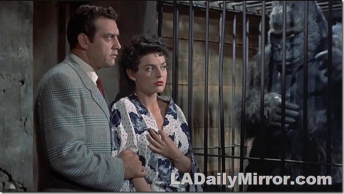 Man and woman looking at a caged gorilla. Man and woman looking at a caged gorilla.