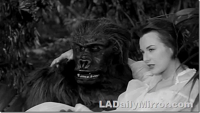 Gorilla carrying lovely leading lady. Gorilla carrying lovely leading lady.